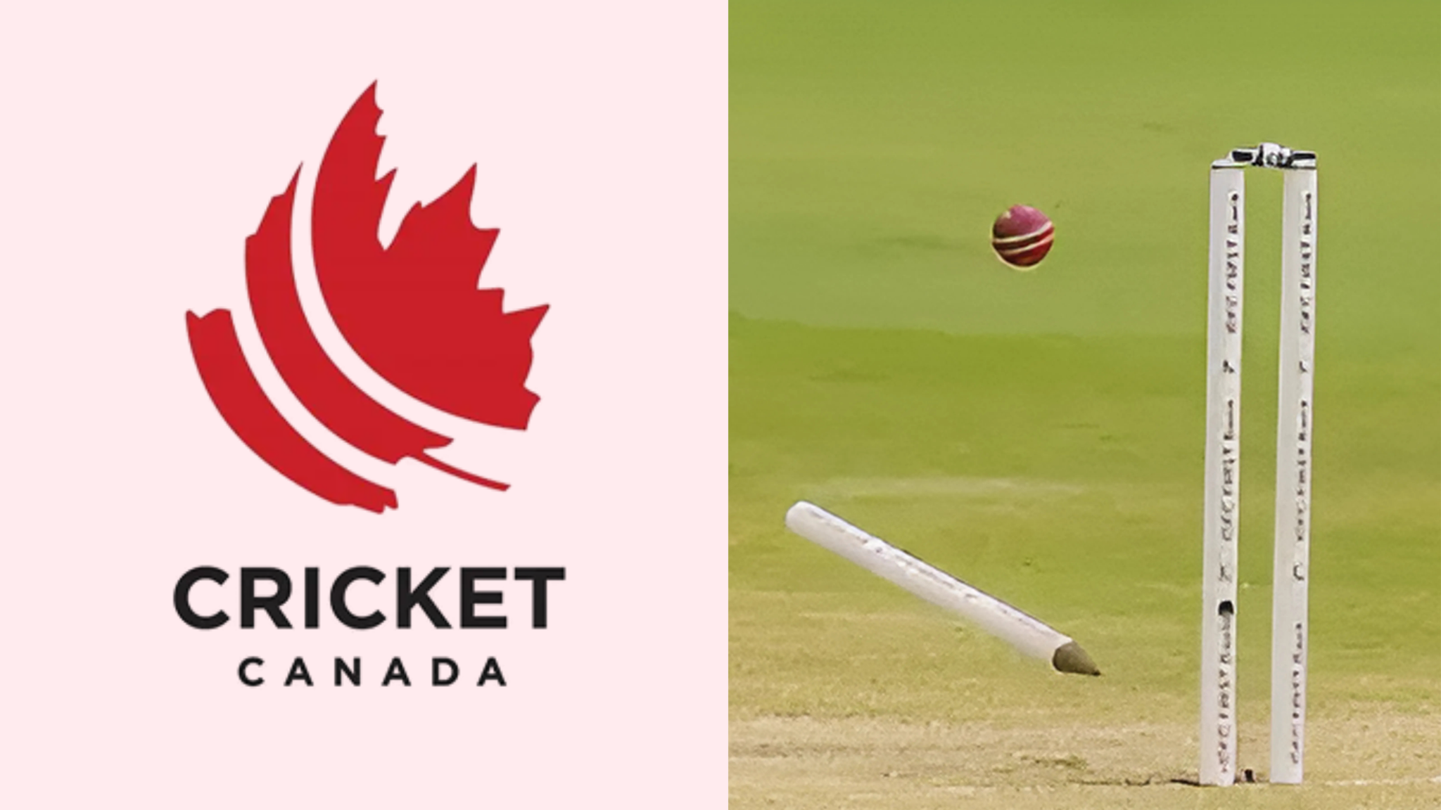 Cricket Canada Under Scrutiny