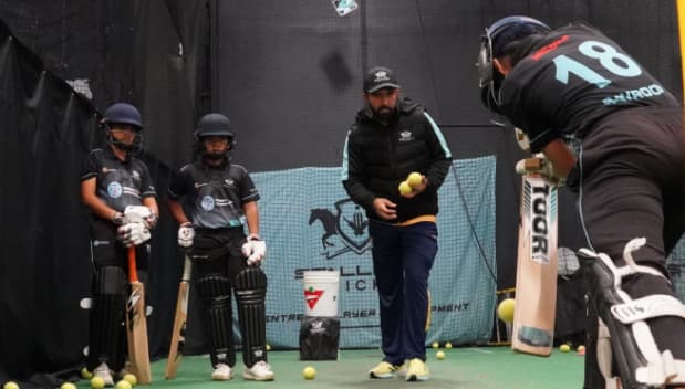 Stallions Cricket Stallions Cricket