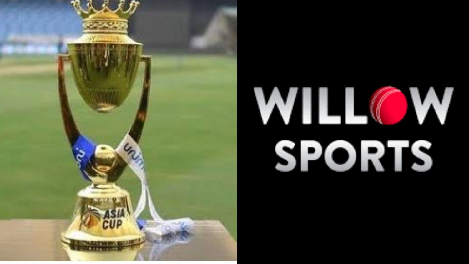 Asia-Cup-Live-in-Canada